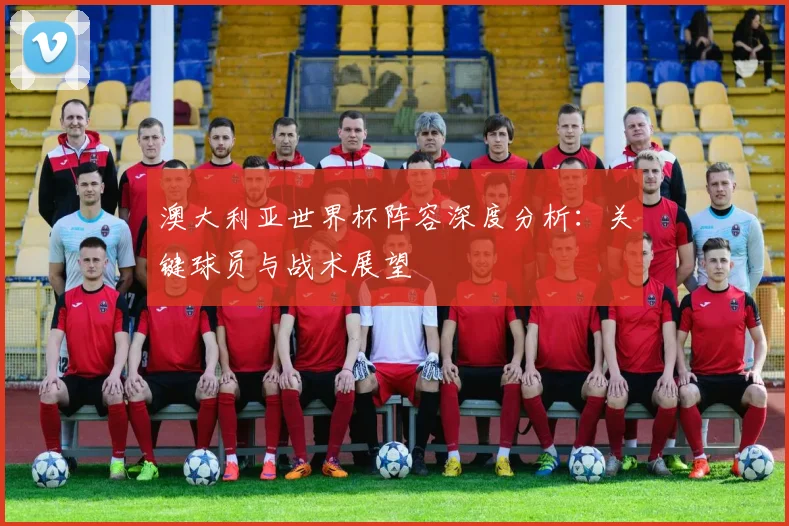 澳大利亚世界杯阵容深度分析：关键球员与战术展望